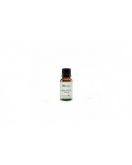 Okaliptüs Yağı (10 mL) Okaliptüs Yağı (10 mL)